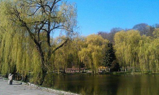 Przepis na RESTAURACJA